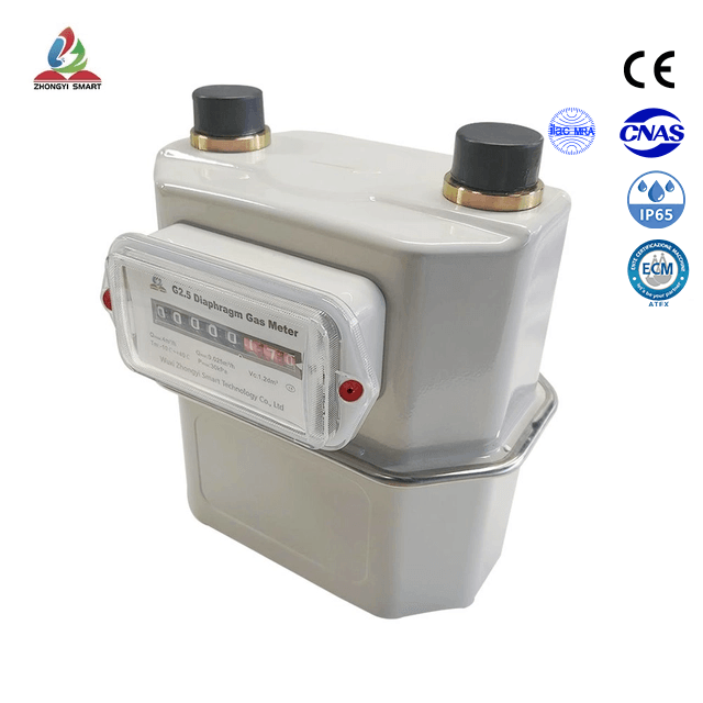 Coque en acier mécanique Compteur de gaz